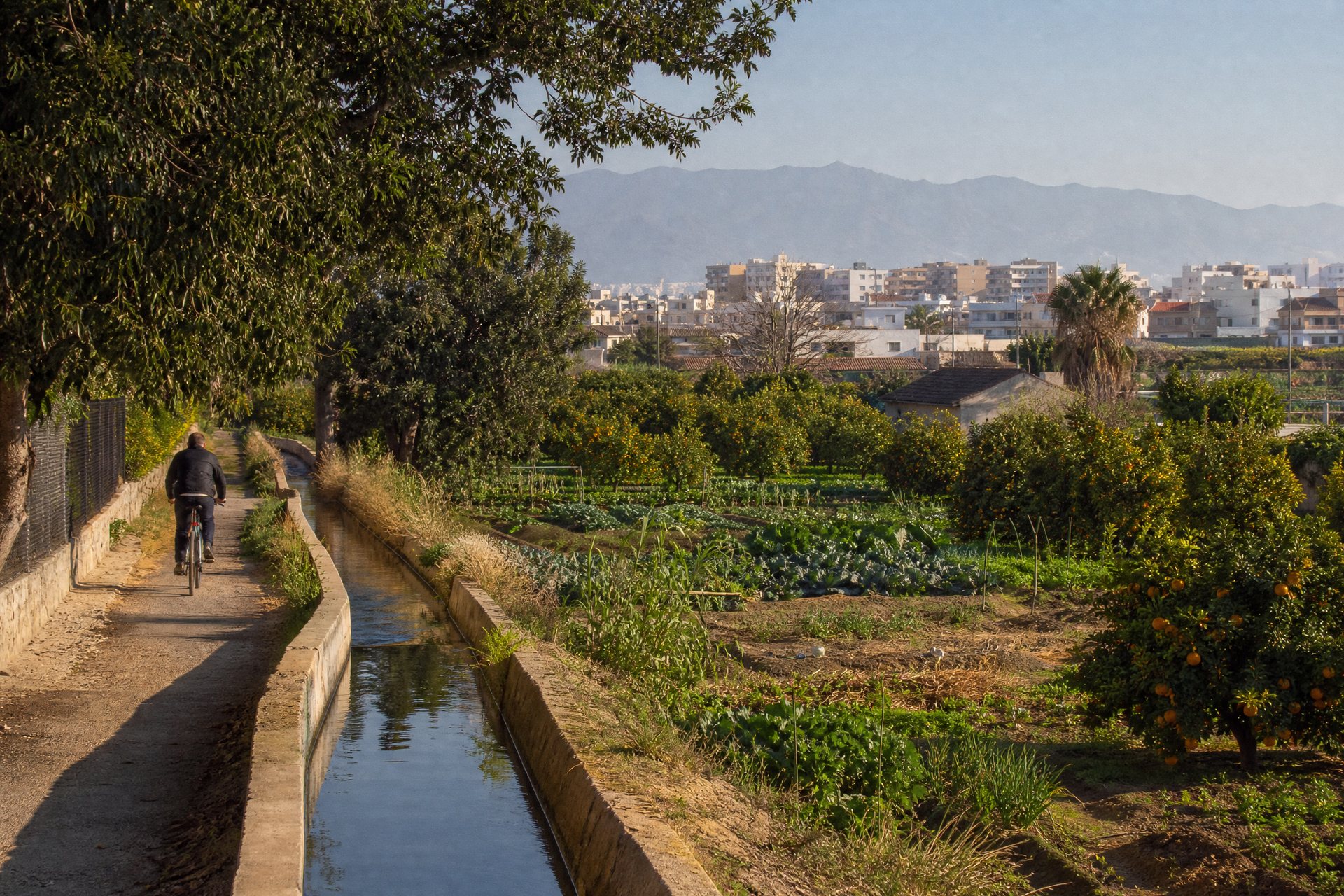 Huerta y acequia en el entorno de Puente Tocinos